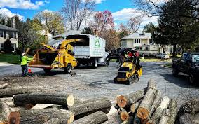 Lawn Grading and Leveling in Grand Canyon Village, AZ